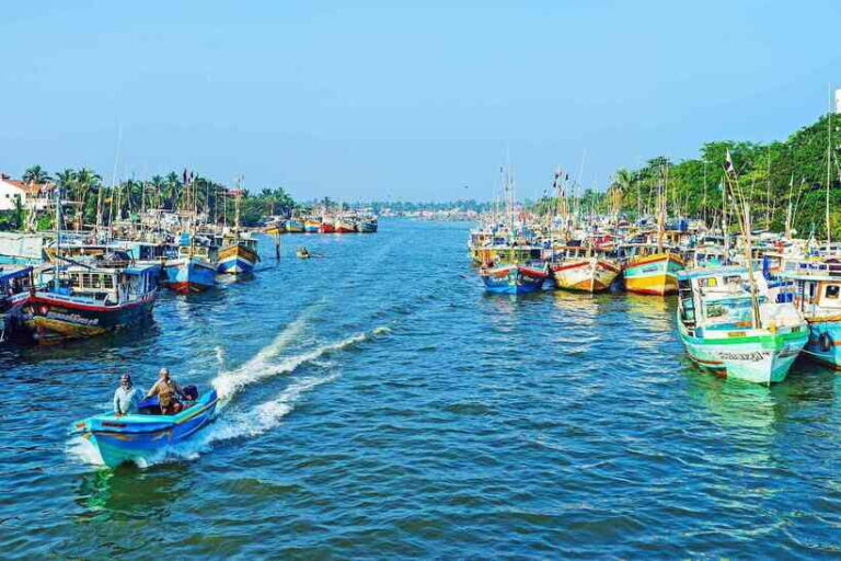 Negombo:Dutch Canal, Lagoon, Muthurajawela Private Boat Tour - An Overview of the Tour