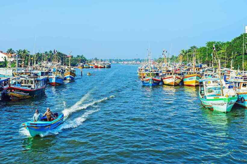 Negombo:Dutch Canal, Lagoon, Muthurajawela Private Boat Tour - An Overview of the Tour