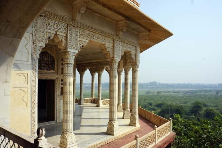 New Delhi: Private Taj Mahal Guide Tour without Tickets - What Travelers Say