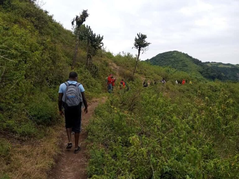 Ngong Hills: Private Hiking Tour - Who Will Love This Tour?