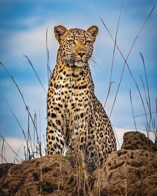 Ngorongoro Crater Day Trip with Picnic Lunch - Practical Considerations