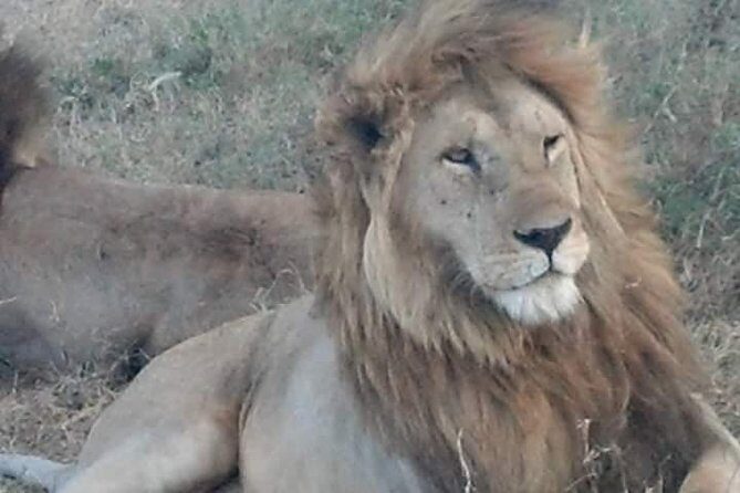 Ngorongoro, Manyara and Tarangire tour - Why This Tour Offers Great Value