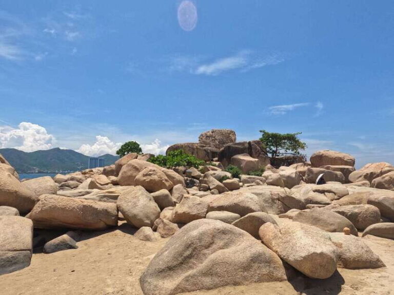 Nha Trang: Private Half Day city tour with pickup at hotel - What Makes This Tour Valuable?