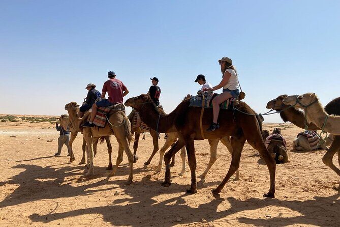 Night excursion to the desert and Berber village from Djerba - Practical Details and What You Can Expect