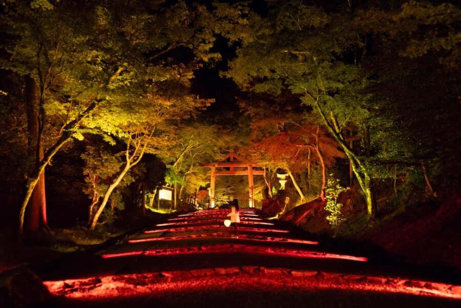 Night Gagaku Concert at Hiyoshi Taisha Shrine - What to Expect from the Night Gagaku Concert