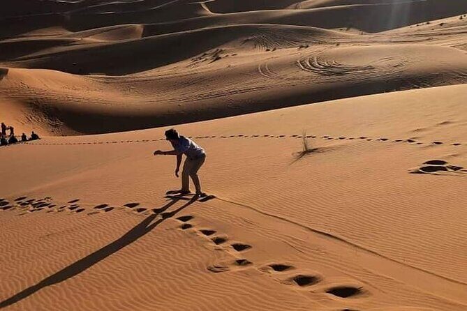 Night in Erg chebbi Desert, Camel Ride, Departure From Errachidia - What Travelers Love About This Tour