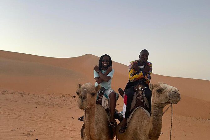 Night in the desert of Lompoul - What Travelers Say: Authentic Feedback