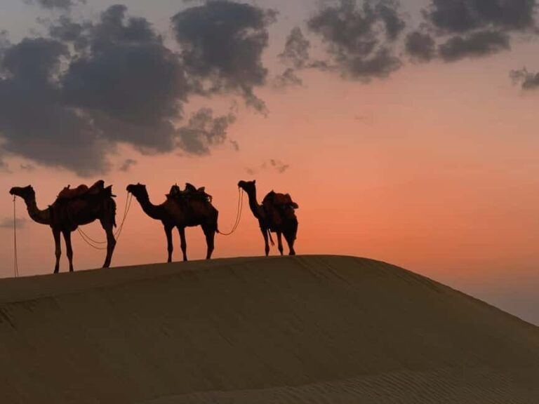 Night in the Desert Overnight Camping in Salalah - Deep Dive into the Highlights