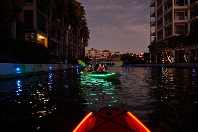 Night Kayaking in Battery Park V&A Waterfront - Why This Tour Stands Out