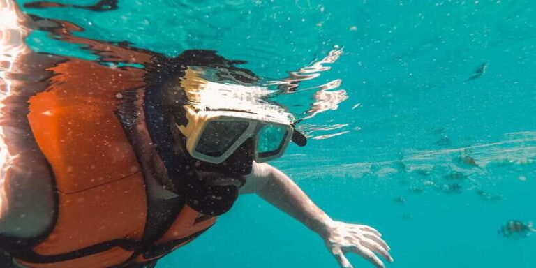 Night Snorkeling in Mirissa - The Practicalities: What You Should Know