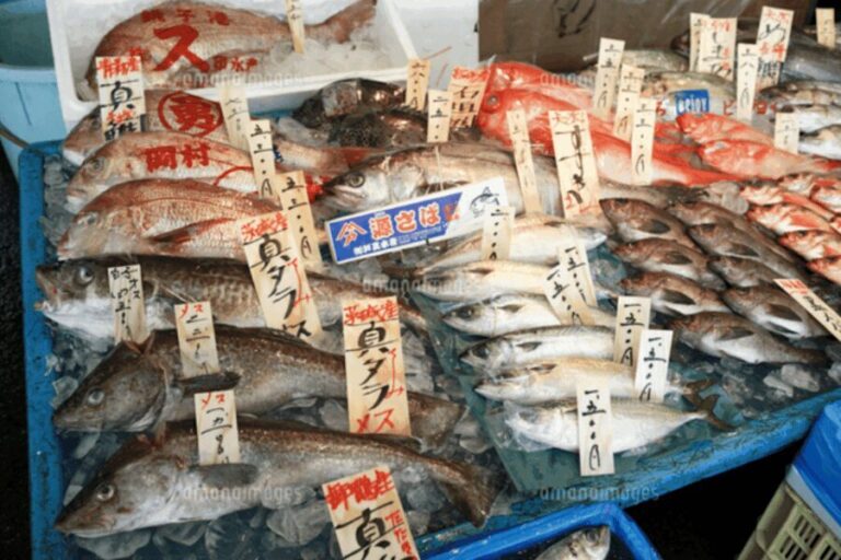 Niigata Private Custom Tour with Local Guide - The Itinerary Breakdown