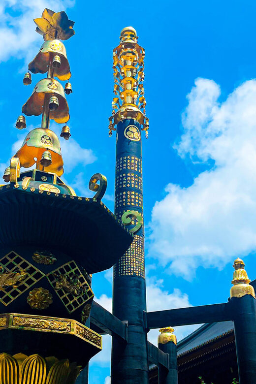 Nikko: Day Tour from Tokyo in Spanish - Spanish - What Makes This Tour Stand Out?