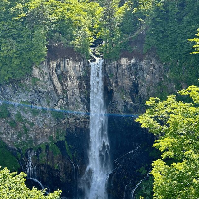 Nikko Heritage & Nature Day Trip from Tokyo - The Practical Side: What You Need to Know