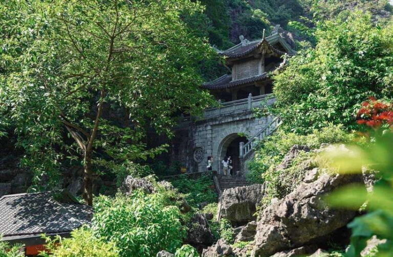 Ninh Binh daily tour (HOA LU  TRANG AN  MUA CAVE) - An In-Depth Look at the Ninh Binh Tour