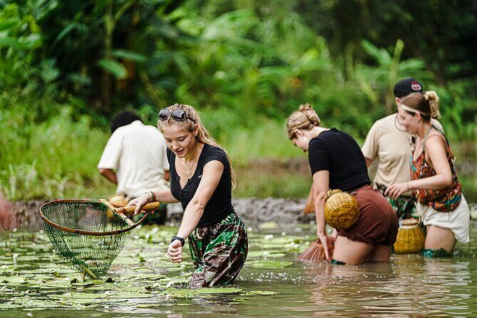 Ninh Binh eco group tour - Buffalo riding, rice planting, fishing - The Value for Your Money
