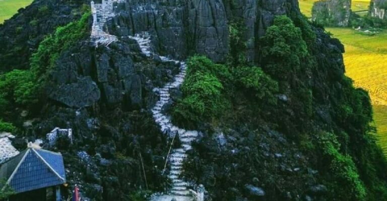 Ninh Binh : Hoa Lu, Trang An & Mua Cave 1 Day Trip - What You Can Expect from the Tour