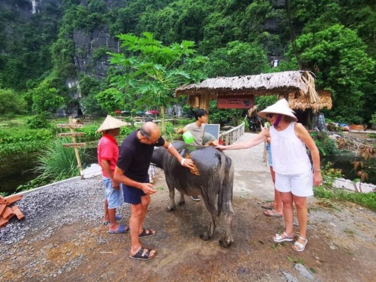Ninh Binh: Motorbike Tour with Pagoda & Countryside Villages - Exploring the Itinerary