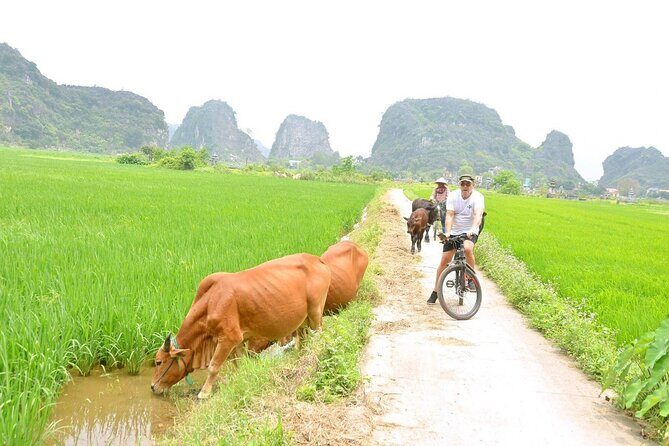 Ninh Binh Private Tour to Mua Cave Trang An Grottoes From Hanoi - Practical Considerations