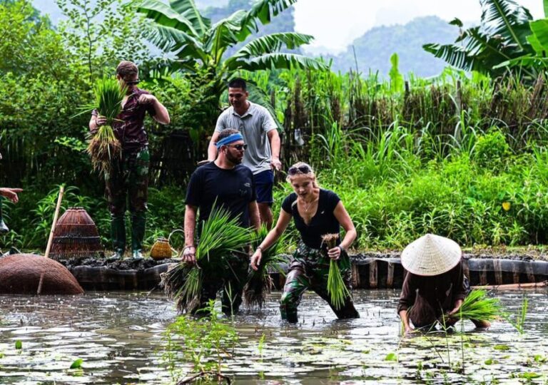 Ninh Binh: Rice planting and fishing by basket tour - Who Will Love This Experience?