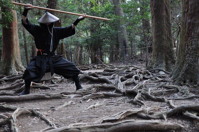 Ninja Trekking half-day tour at Mt.Daimonji Kyoto - Exploring the Tour Experience