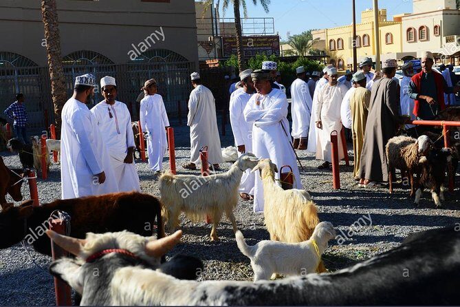 Nizwa Friday Market Jabal Chams - Transport, Timing, and Group Size