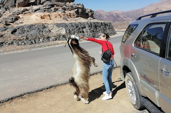 Nizwa. Hambra. Grand Canyon Oman - Who Will Love This Tour?