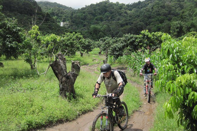 No.1 Chiang Mai: Advanced XC Downhill Biking, Doi Suthep N. Park - Practical Tips for Participating