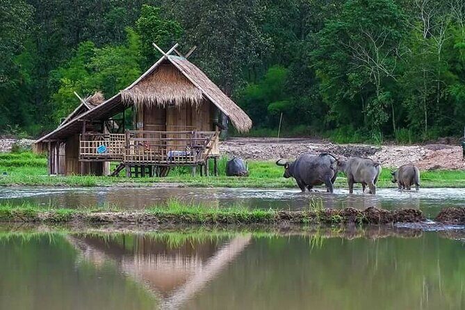 "No.1 Chiang Mai: Leisure Bicycle Ride to Lake Huay Tueng Tao" - The Sum Up