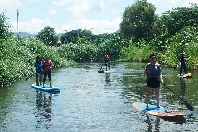 No.1 Chiang Mai: Stand Up Paddle Board through Mae Taeng Forest - An Immersive Experience on Chiang Mai’s Quiet Waters
