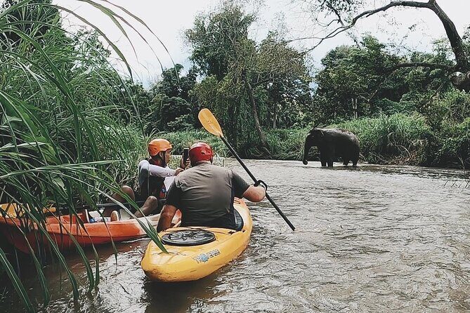 No.1 Chiang Mai : White Water Kayaking: Mae Wang Jungle River - Who Will Love This Experience?