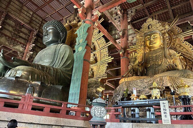 No Emission Car Nara Private Tour from Kyoto with Japanese Guide - An Honest Look at the Experience