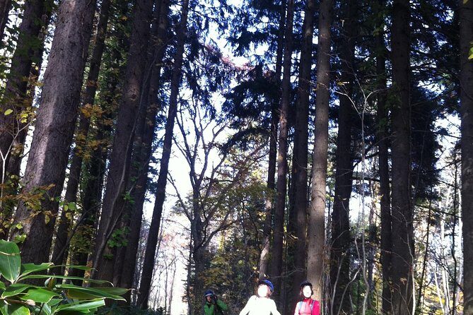 Nopporo Forest Mountain Bike Tour from Sapporo, presenting a retro Cycle cap - Who Will Love This Tour?