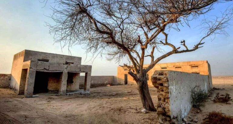 North Of Qatar Tour - The Tranquility of Al Thakira Mangroves