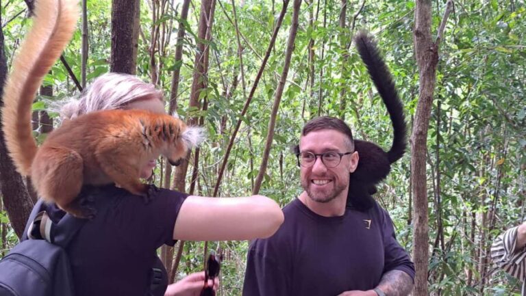 Nosy Be Day Trip: Nosy Komba Lemurs & Tanikely Snorkeling - An In-Depth Look at the Day Trip Experience