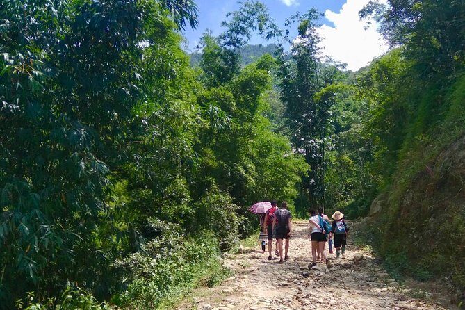 Number one top rated ethical cultural trekking and homestay by ETHOS - An In-Depth Look at the Sapa Cultural Trekking Experience
