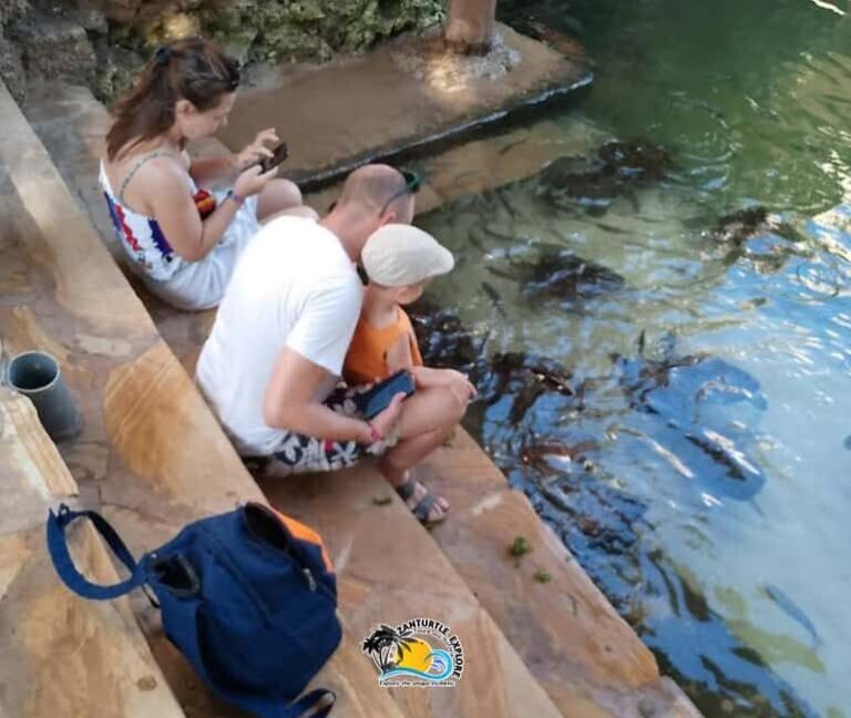 Nungwi: Swim & Snorkel with Turtles at The Lagoons Zanzibar - What Makes This Experience Special?