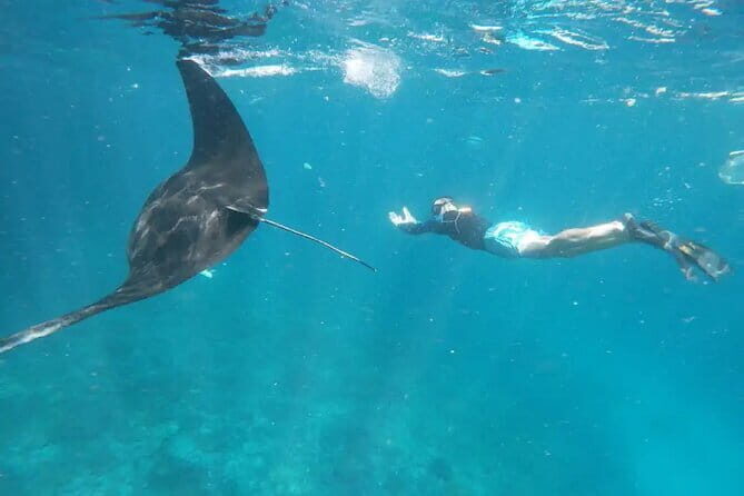 Nusa Lembongan Snorkeling with Manta Bay & Island Tour from Bali - What We Loved and What to Keep in Mind