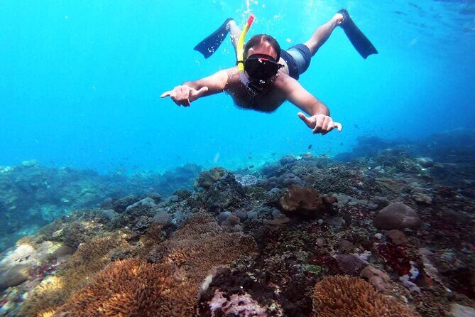 Nusa Penida 4 Spot Snorkeling with Manta and Island Tour - The Practical Side: Transport, Timing, and Cost