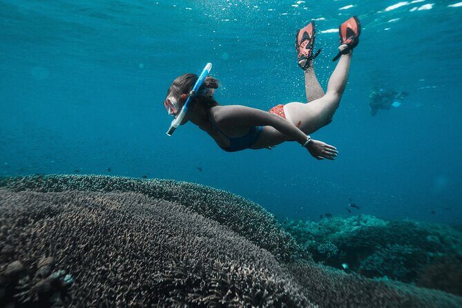 Nusa Penida day trip: boat, 4 snorkeling, Manta rays & Land tour - What Makes This Tour Stand Out
