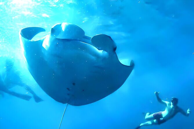 Nusa Penida Island Beach Tour With Snorkeling - Departure From Bali Island - Who Will Love This Tour?