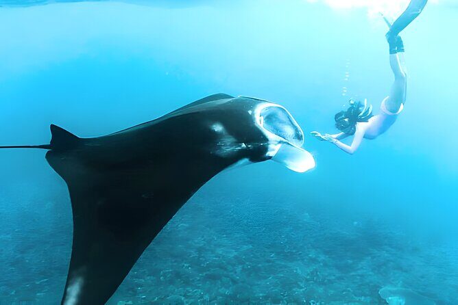 Nusa Penida Island Beach Tours with Snorkeling From Bali - Transportation & Practicalities: What to Expect