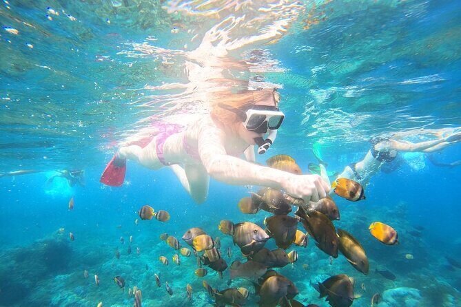 Nusa Penida Private Snorkeling and Land Tour Start from Bali - What’s Included and What’s Not