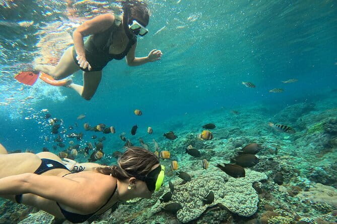 Nusa Penida Snorkeling Trip Manta Point Gamat Bay and Wall Bay - How the Tour Operates