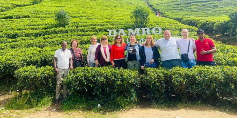 Nuwara Eliya Day Tour from Kandy (Private Tour) - The Logistics: What’s Included and What’s Not