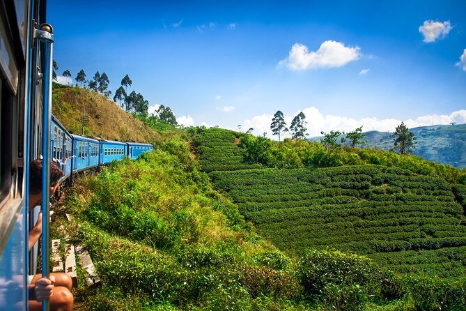 Nuwara Eliya from Kandy by Train - How the Experience Feels in Practice