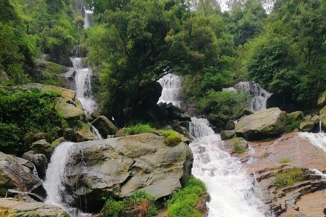 Nuwara Eliya Tea factory and waterfall tour - Deep Dive into the Itinerary