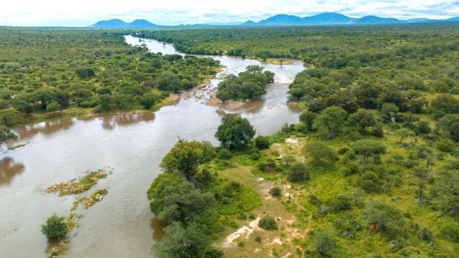 NYERERE NATIONAL PARK FROM ZANZIBAR: ONE DAY TRIP - Who’s This Tour For?