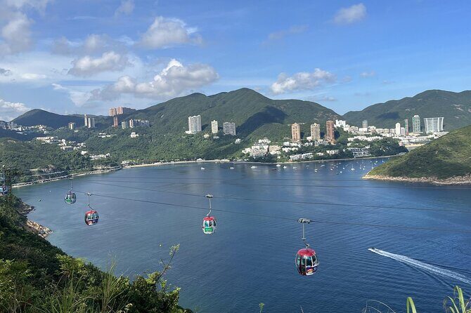 Ocean Park Full-Day Coach Tour with Hotel Pickup in Kowloon Area from Hong Kong - Who Should Consider This Tour?