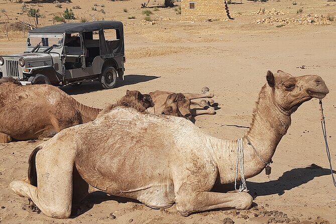 Off the beaten track overnight Camel Safari Tour Jaisalmer - What’s Included & What’s Not