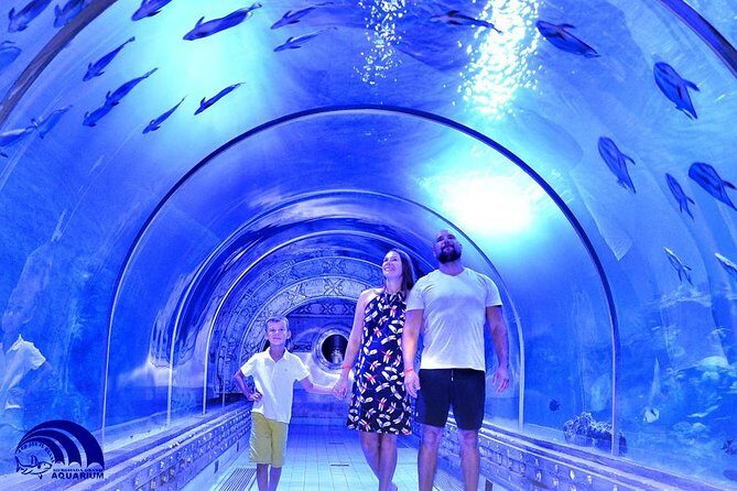 Official Account: Hurghada Grand Aquarium Entrance Tickets - The Review Spectrum: The Good and the Not-So-Good